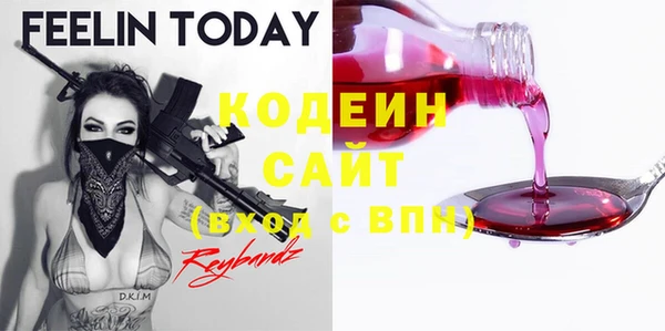 индика Зеленокумск