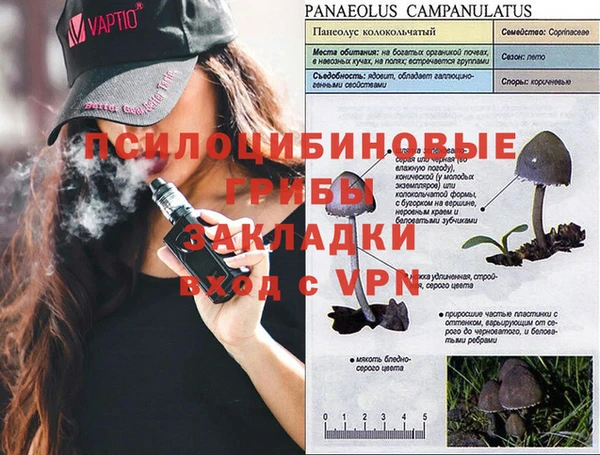 марки nbome Абаза