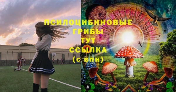 2c-b Абинск