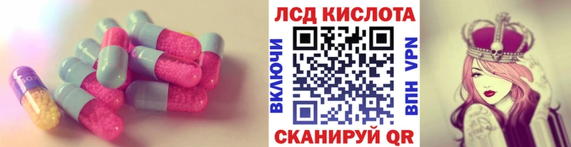 купить наркоту  Починок  Лсд 25 экстази кислота 