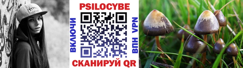 Галлюциногенные грибы GOLDEN TEACHER  закладка  Починок 