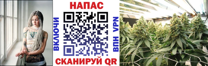 KRAKEN ССЫЛКА  Починок  Марихуана ГИДРОПОН 